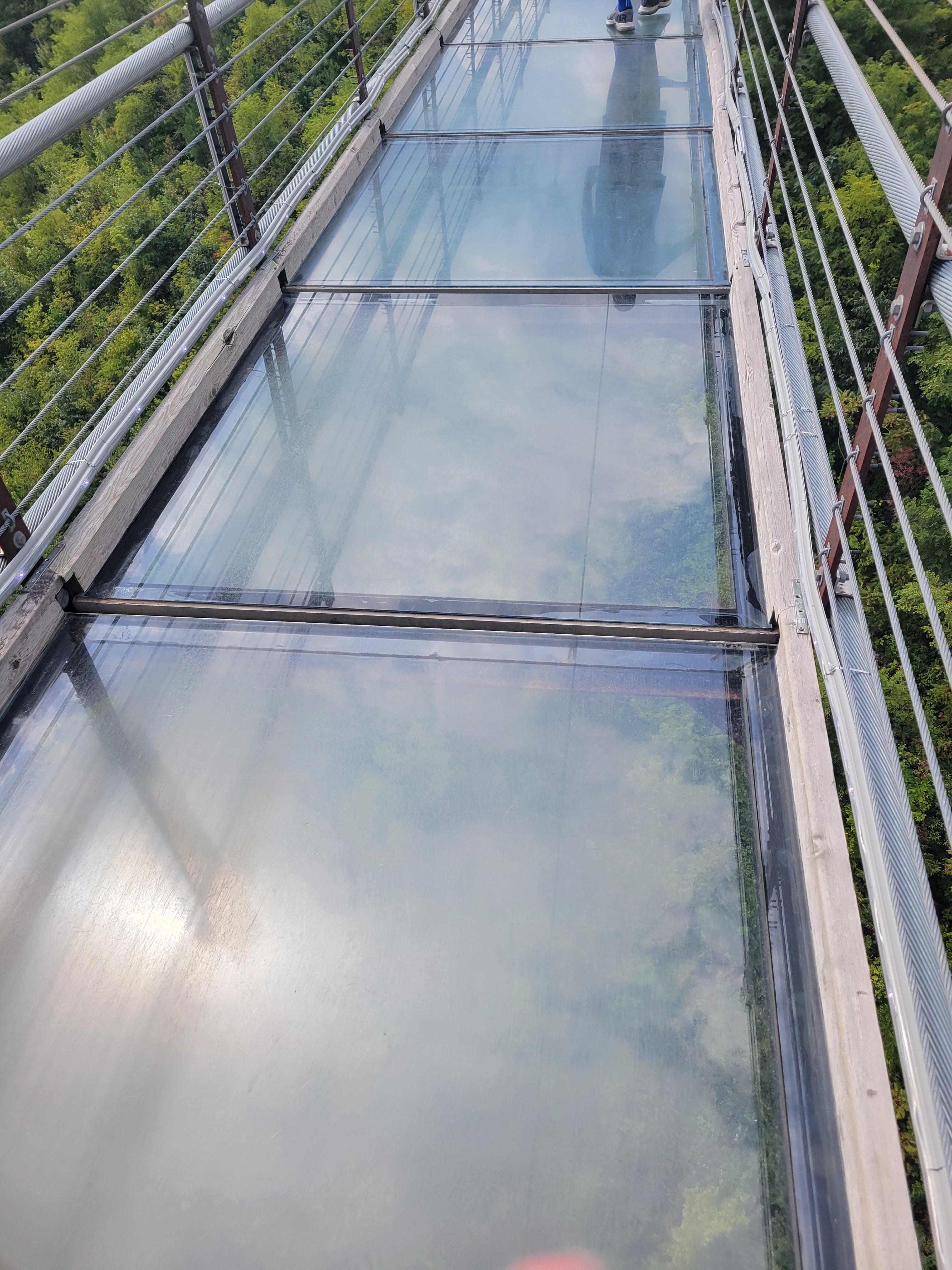 The Increasing Threat of Global Scam Centers