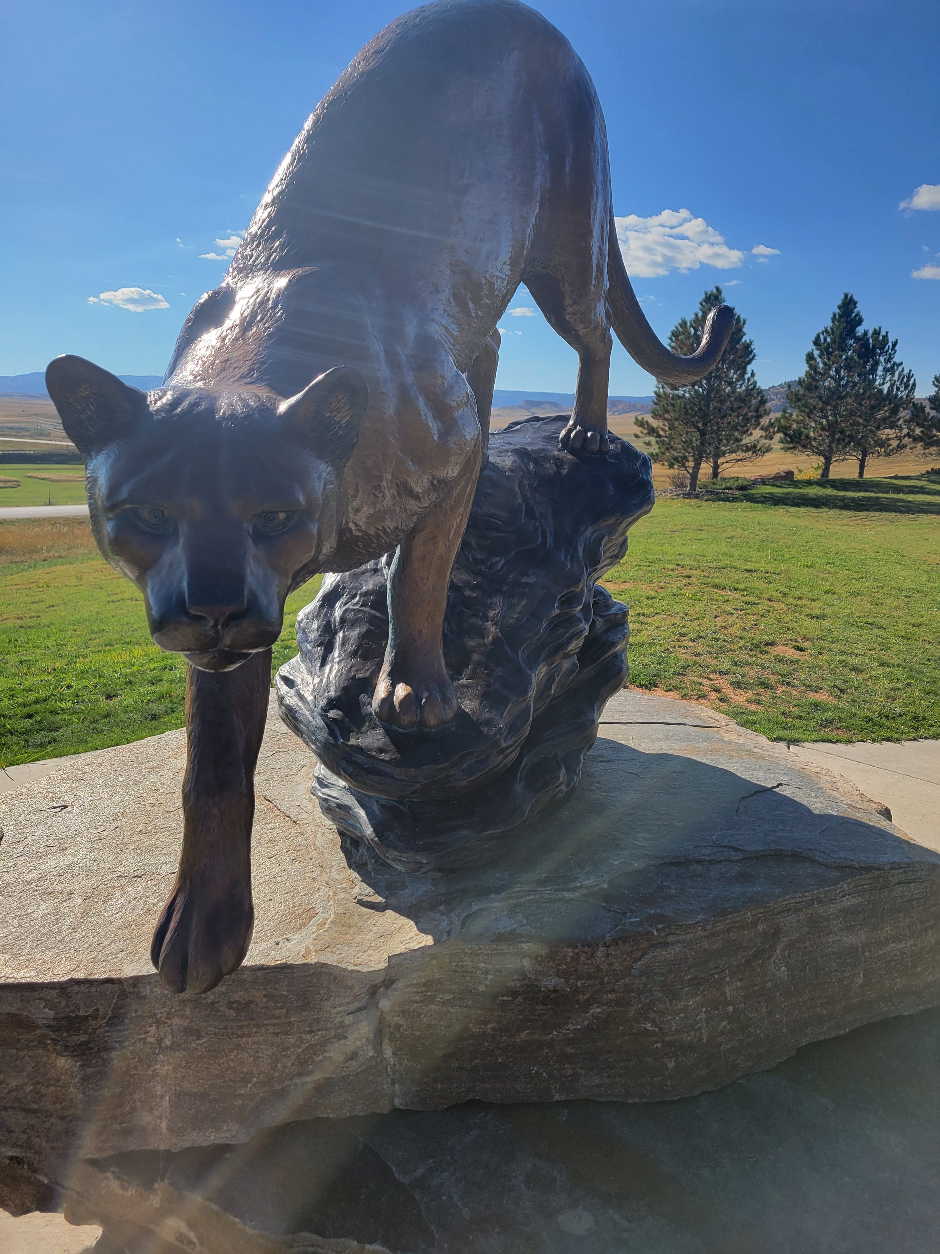 Why Spam Emails are so Successful